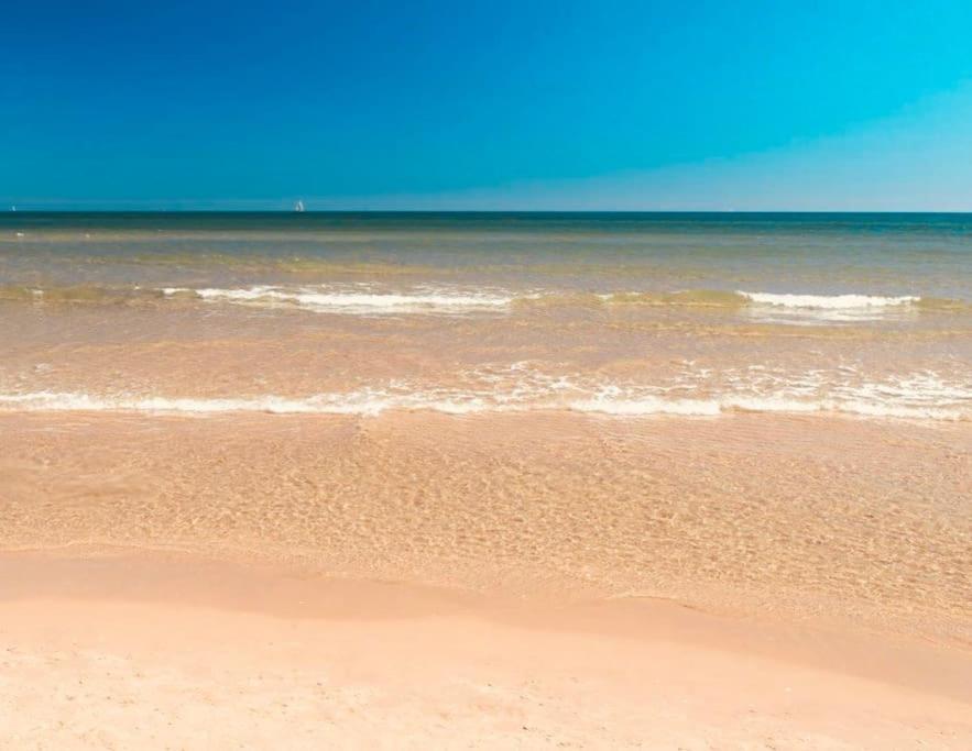 Impresionante Villa Con Piscina - Oliva Nova Dış mekan fotoğraf