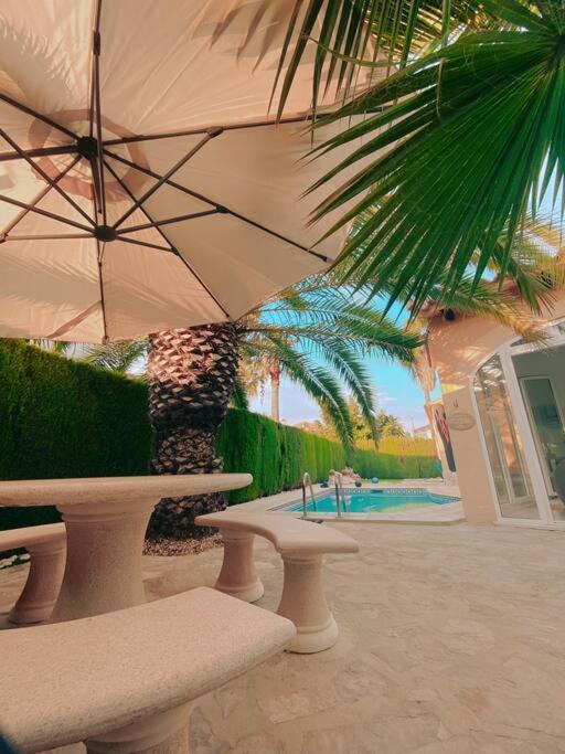 Impresionante Villa Con Piscina - Oliva Nova Dış mekan fotoğraf