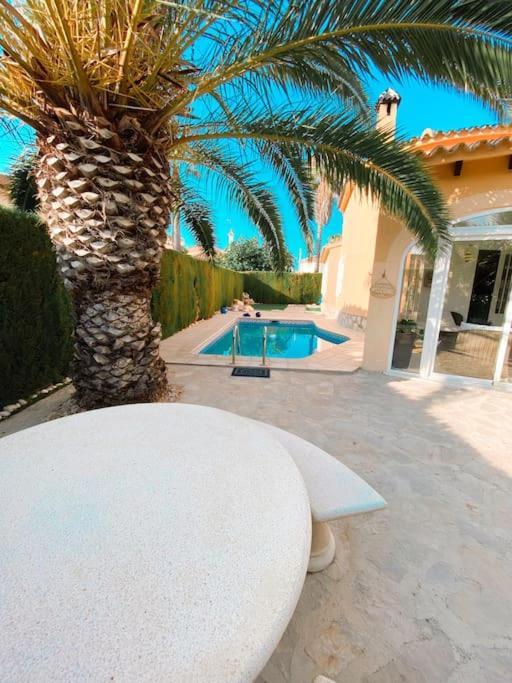 Impresionante Villa Con Piscina - Oliva Nova Dış mekan fotoğraf